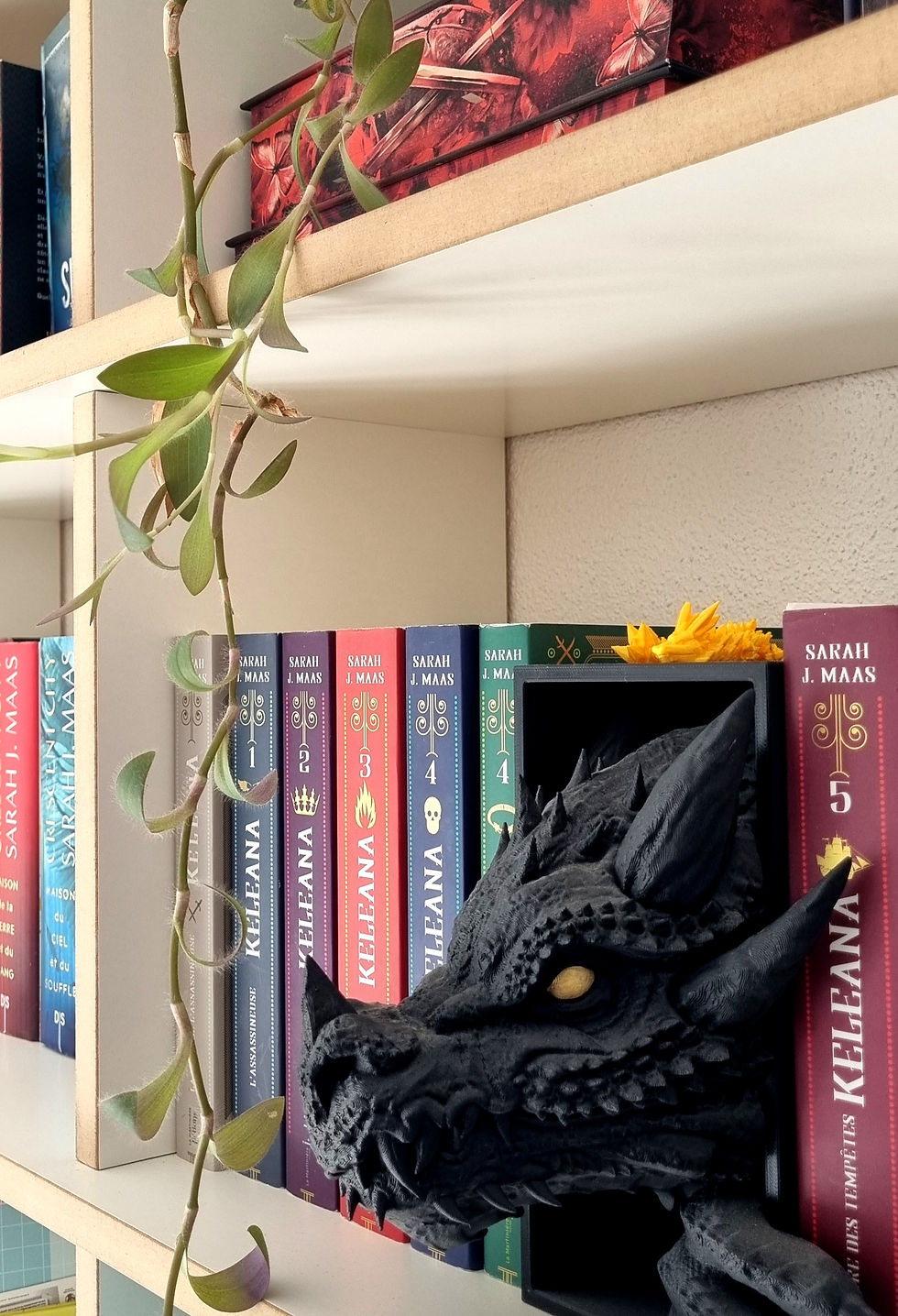 Bibliothek und Buchregale im Interior Design