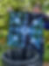 IMG_4008.jpeg