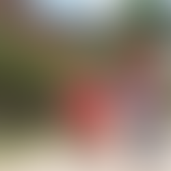 Nghe An community tourism aims for sustainable development