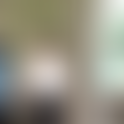 Passionate and creative ways to protect and develop the Cần Giờ mangrove forest