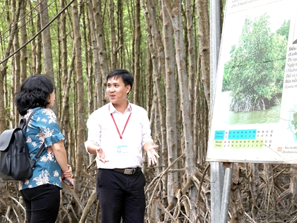 Passionate and creative ways to protect and develop the Cần Giờ mangrove forest