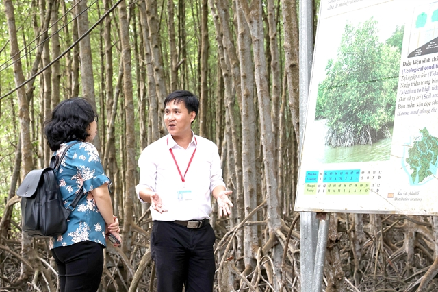 Passionate and creative ways to protect and develop the Cần Giờ mangrove forest