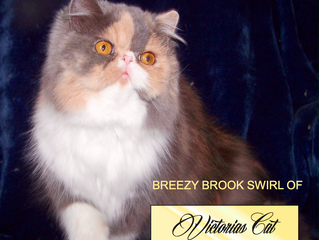 BREEZYBROOK HAS A HOME