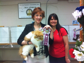 2 Shows in Lebanon Pa