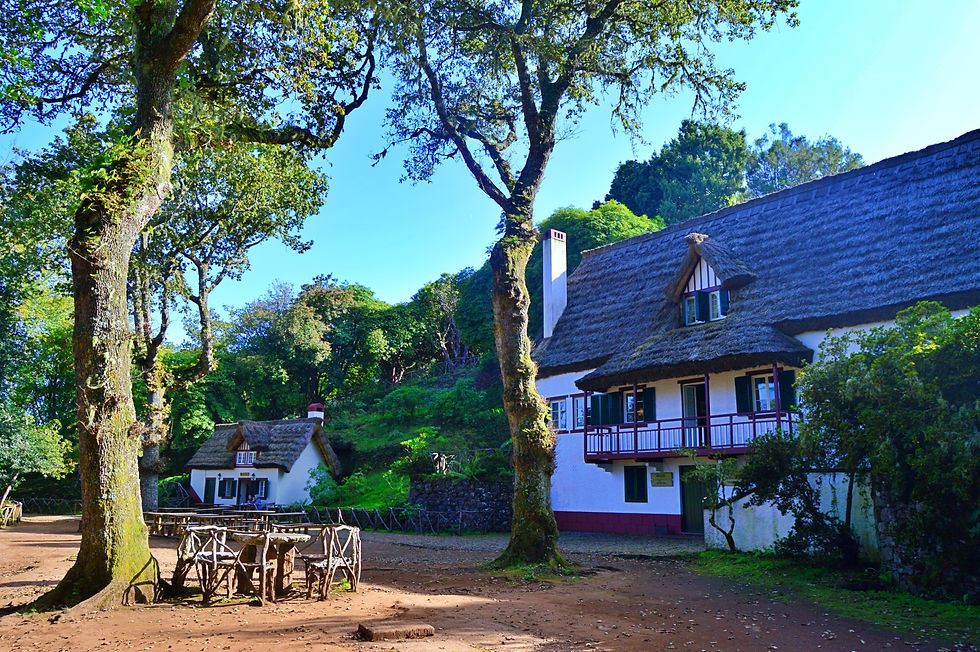 Um Caminho Para Todos 