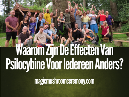 Blog over waarom de effecten van psychedelische paddenstoelen voor iedereen anders zijn, met uitleg over persoonlijke verschillen, verwachtingsmanagement, vertrouwen, risico’s en veiligheidsrichtlijnen voor retraites.