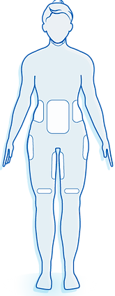 Female-Front-No-Selection.png