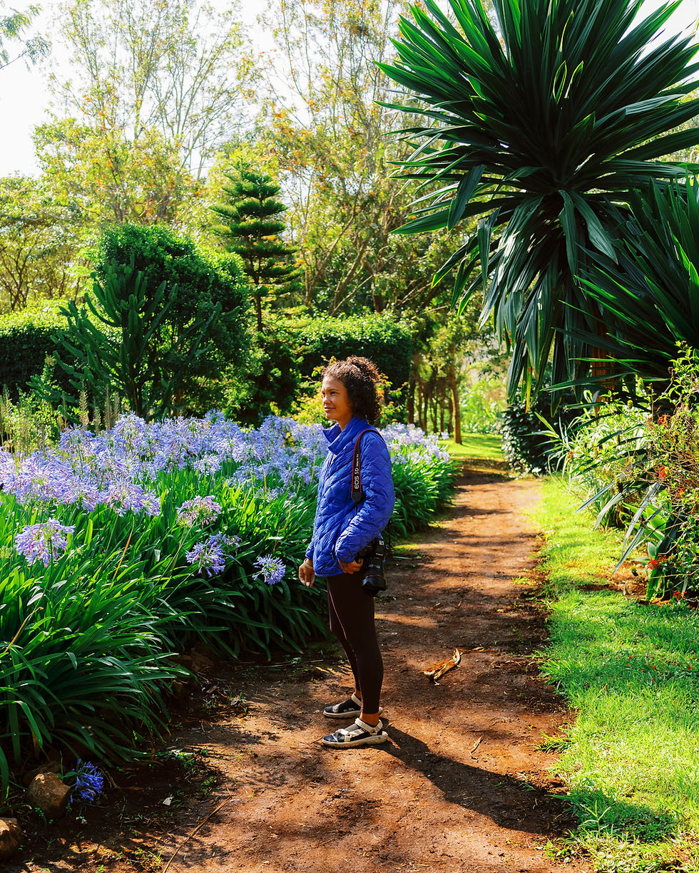 Thumbnail: Off-Track  - Northern Tanzania (Premium Version)