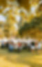 teambuild_edited.jpg