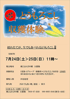 とうもろこし体験.JPEG