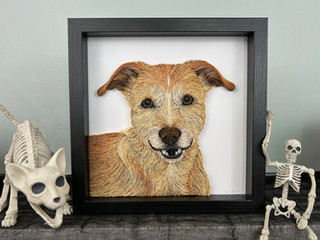 DCS Hannah Embree - Bill Framed 2.jpeg