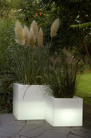 cubotti350_370light_1024x1024_2x.webp