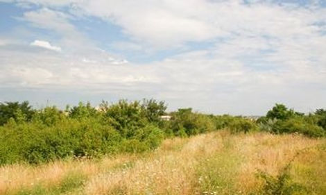 20100804-Friche south-BW-July10 (1 of 1).jpg