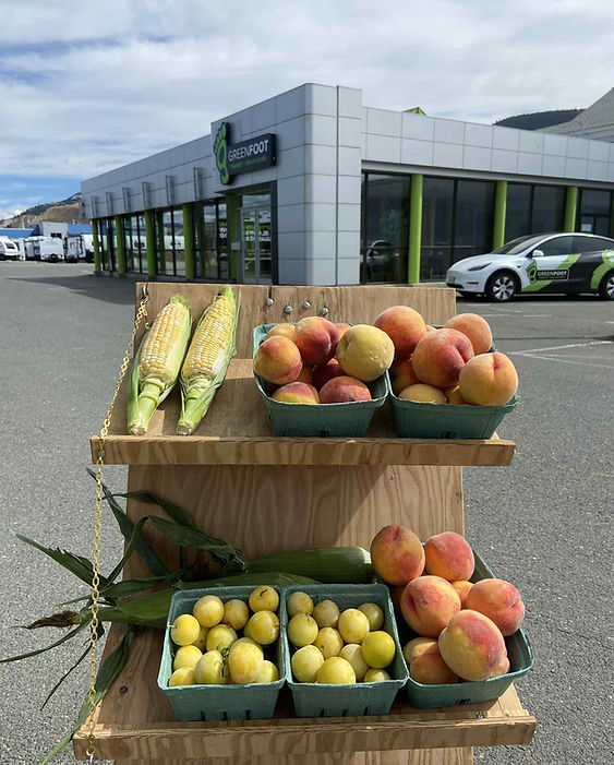 greenfoot website.JPG