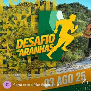 Desafio das Aranhas - 5ª Edição - 2025