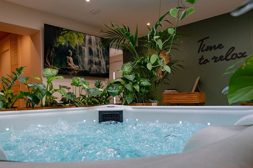 Vue depuis le spa privatif sur écran plat XXL et décoration végétale