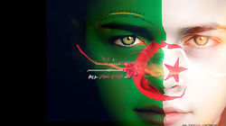 Algerian Flag 2