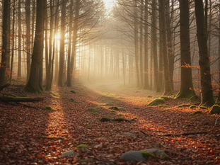 Awakenings Trauma Recovery Center Understands Trauma Is Unique to Every Individual and Family