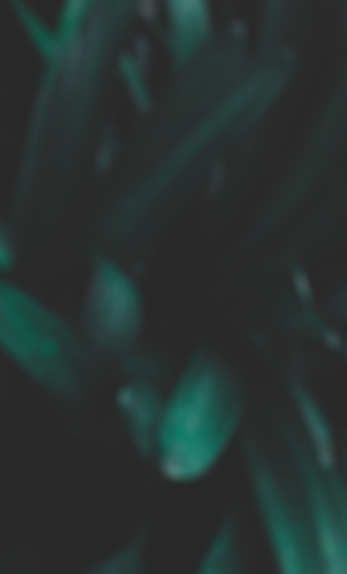 AEnB2UoXsMg5AJHLg9VEDynIW5ZxkAyFTbnhnVbXzThaLIJfbu_CidFhKtCnZuZBDXcRVcDh4wzFhh35ypdyl_sCmp