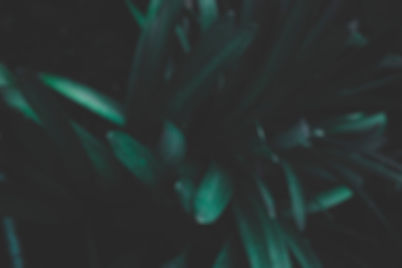 AEnB2UoXsMg5AJHLg9VEDynIW5ZxkAyFTbnhnVbXzThaLIJfbu_CidFhKtCnZuZBDXcRVcDh4wzFhh35ypdyl_sCmp