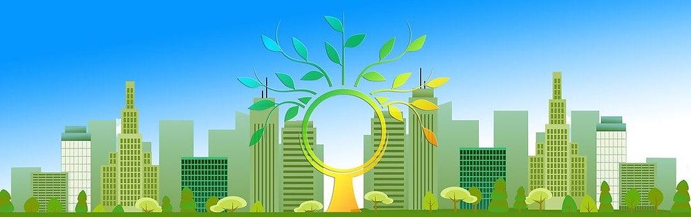 Klimaattransitie door Lemonfield Projects