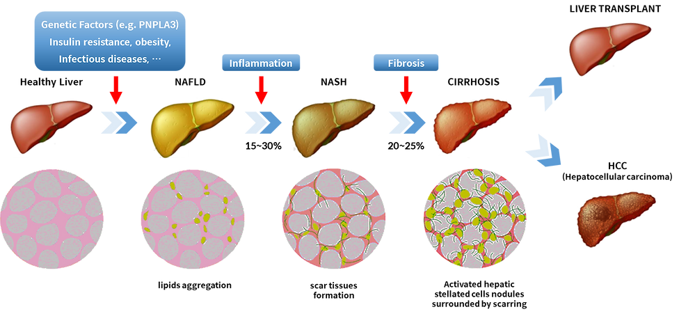 a4d6f8b98abd212107f3e2fce7e8646f (1).png