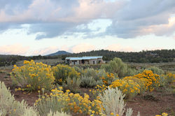 Lone Juniper Residence