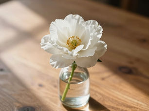 a single flower in a vase of water