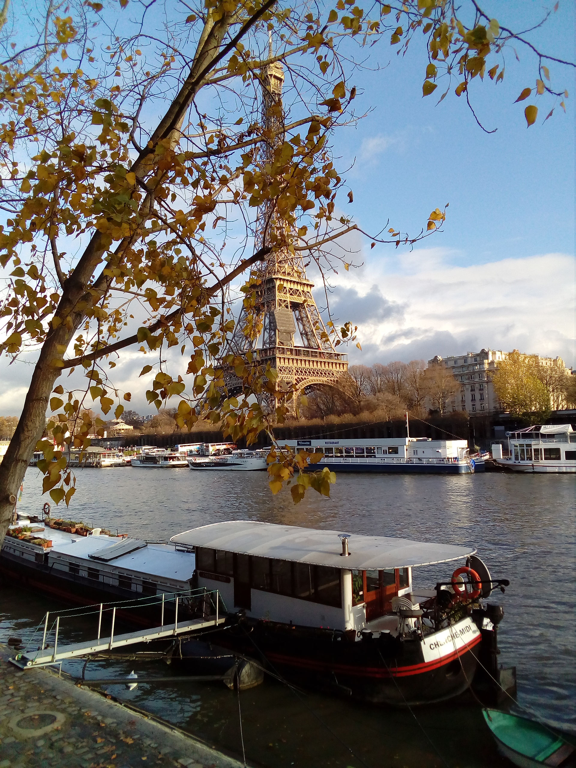 Avenue Paris 16
