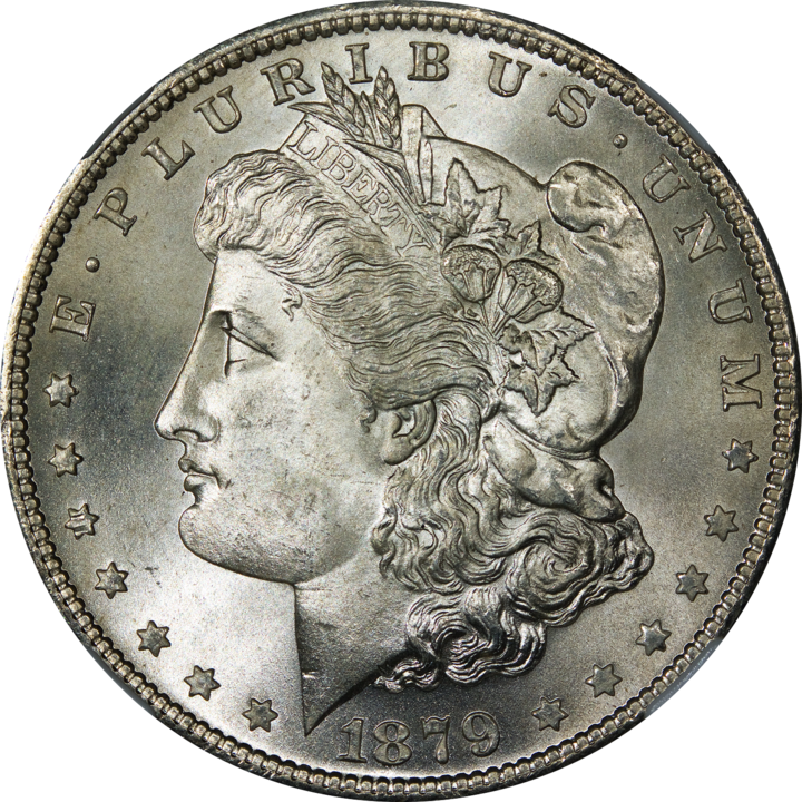 90% SILVER DOLLAR (RANDOM DATE)