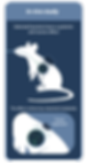 Adularia_path-to-innovation_in-vivo-2