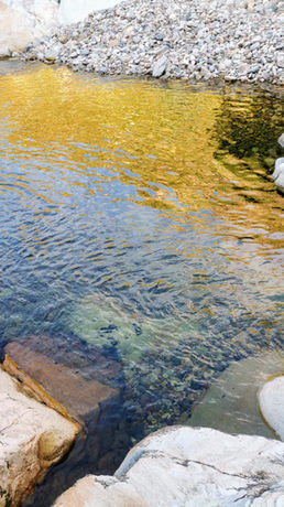 Cool rock pools along the beautiful hiking trail.jpg