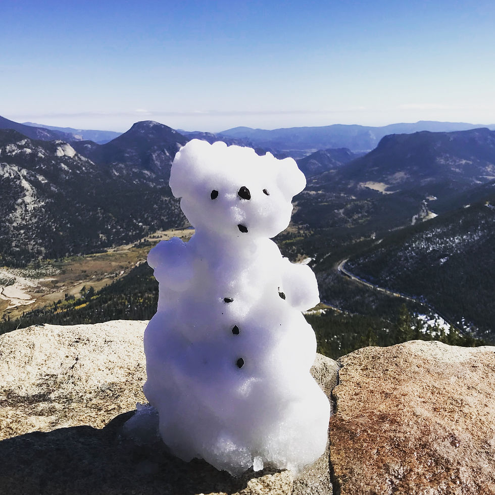 Snow Bear overlooking the National Park