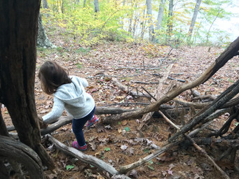 The Best Thing I Didn’t Do With My Toddler