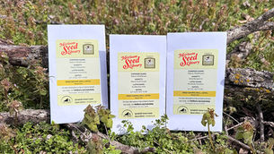 Native Wildflower Seeds at Your Library