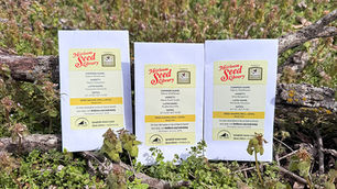 Native Wildflower Seeds at Your Library