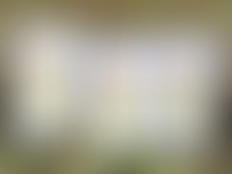 Native Wildflower Seeds at Your Library