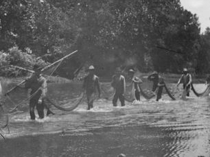 A black and white photograph from around the year 1900 of men carrying a net as they wade through a river, likely the James River just east of Springfield.