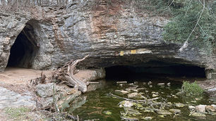 Two cave entrances at Sequiota Park. The larger entrance at right is Sequiota Cave. A spring-fed stream issues from Sequiota Cave.