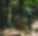 markus-spiske-oIipDrwKnKE-unsplash_edite