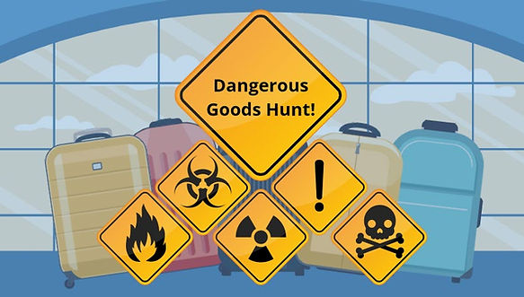 Dangerous Goods Training