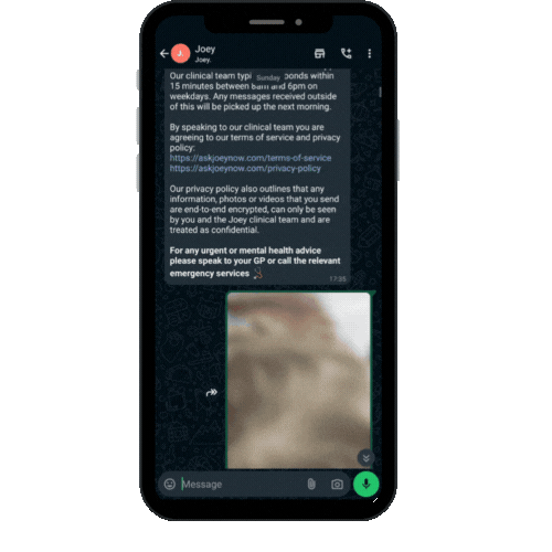 Demo Chat Graphic.gif