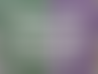 City of Hattiesburg: Mardi Gras parade canceled