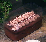 WhatsApp Image 2024-05-21 at 1.56.01 PM (1).jpeg