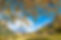 shutterstock_5032108811.jpg