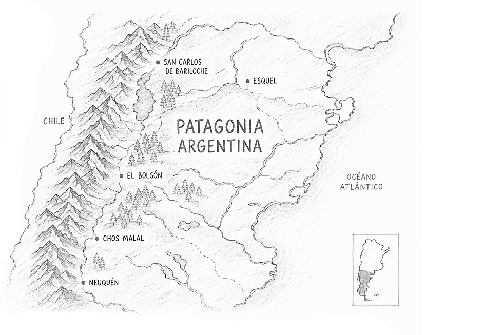 Diseño sin título (3).png