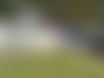 Helping Tenants Personalise Their Rental – The Right Way