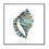 Thumbnail: Aquarelle Shells I - Framed & Mounted