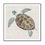 Thumbnail: Sea Turtle II - Framed & Mounted