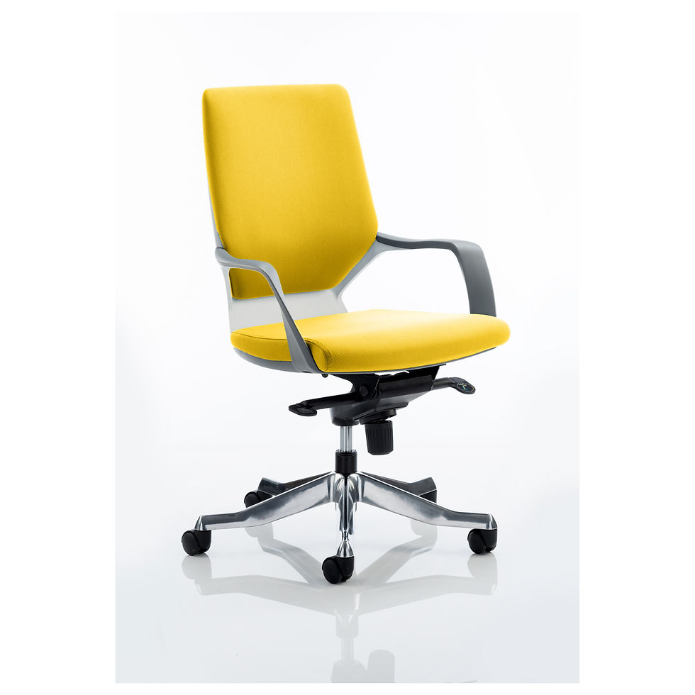 Thumbnail: Xenon White Medium Back Bespoke Colour